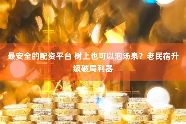 最安全的配资平台 树上也可以泡汤泉？老民宿升级破局利器